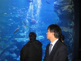 京都市水族館視察